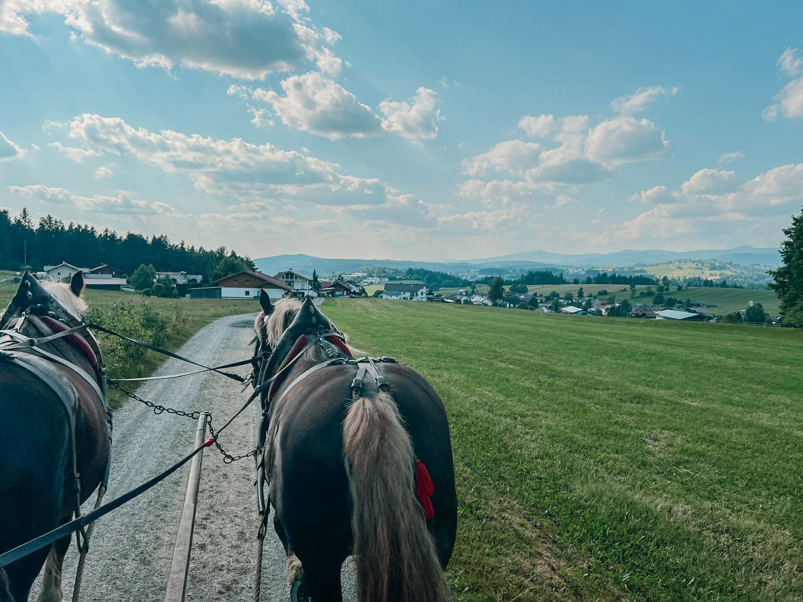 pferdekutschenfahrt-freyung-grafenau_sommer-3 Pferdekutschenfahrt